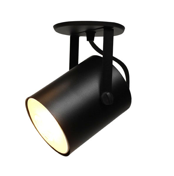 Spot Sobrepor Alumínio 20W Direcionável para Lâmpada LED PAR38 Bivolt Automático Preto Redondo Canon