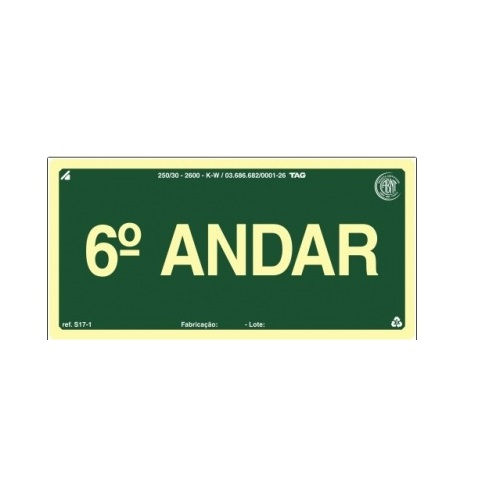 Placa Sinalização Pavimento 6° Andar PVC 100x200 mm Fotoluminescente/Verde