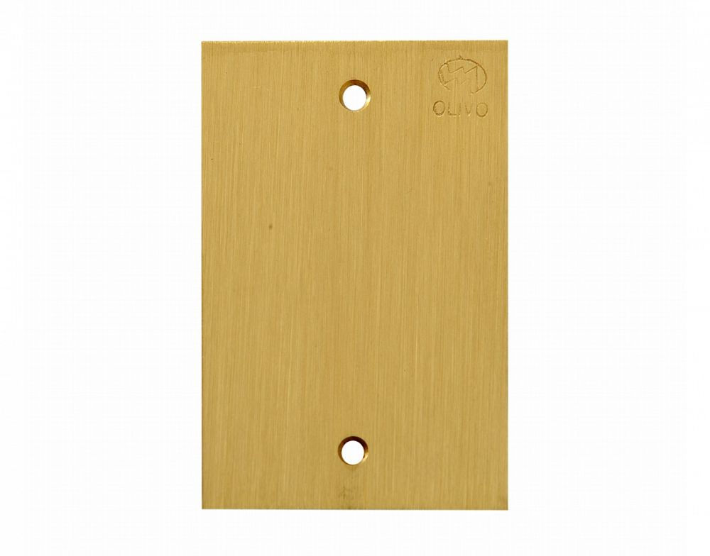 Placa Piso Unha Latão Escovado Cega 4x2 Padrão