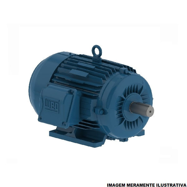 Motor Trifásico 0,25 CV/0,18 kW 4 Polos 1800 RPM 220-380VCA 60 Hz IP55 Carcaça 63/B3D IR3 Premium Azul
