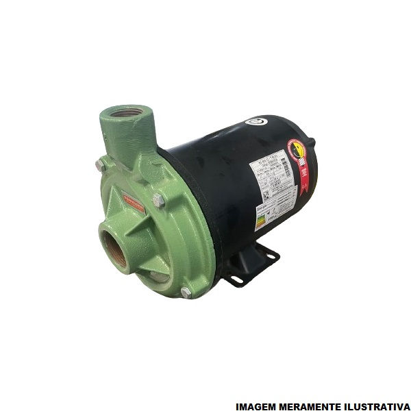 Motobomba Centrífuga Trifásica 1,00 CV BC-92S 1C 220/380VCA IR3 IP21
