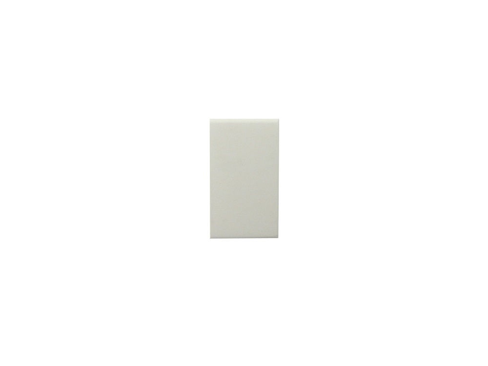 Módulo Módulo Interruptor Paralelo 10A/250VCA PVC Branco
