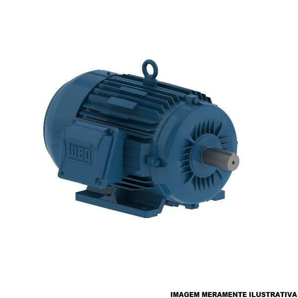 Motor Trifásico 7,50 CV/5,50 kW 4 Polos 1750 RPM 220-380-440VCA 60 Hz IP55 Carcaça L112 m/B5D IR3 Premium Azul