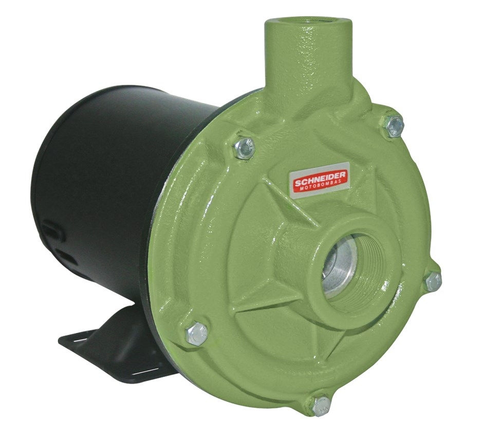 Motobomba Centrífuga 1,5 CV BC-92S R 2 1/2 220V/380V Trifásica