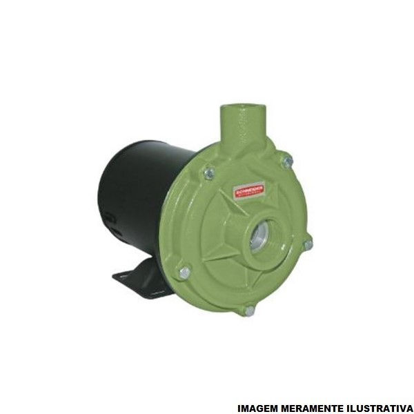 Motobomba Centrífuga Monofásica 2,00 CV BC-92S 1C 127/220VCA Recalque Monoestágio Verde