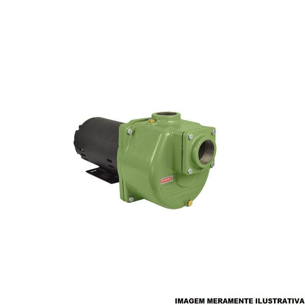 Motobomba Centrífuga Monofásica 1,00 CV BCA-40 220/380VCA Autoaspirante Verde