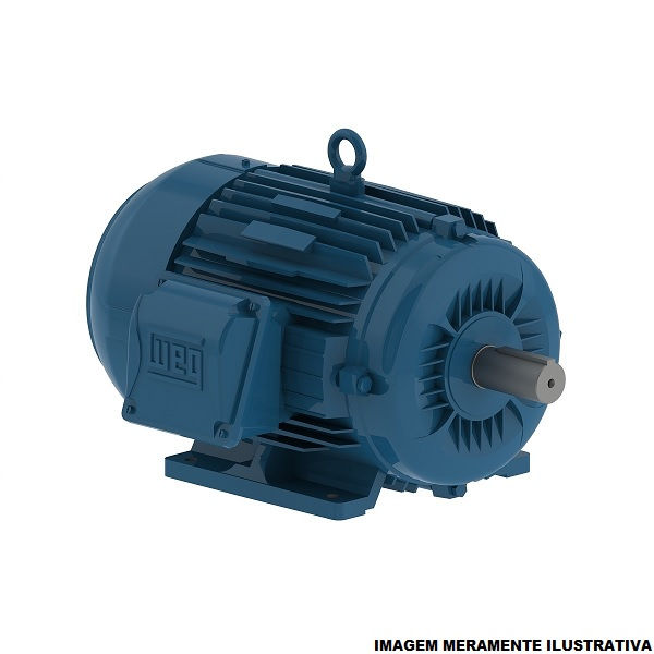 Motor Trifásico 40,00 CV/30,00 kW 4 Polos 1750 RPM 380-660VCA 60 Hz IPW66 Carcaça 200 m/B3T IR3 Premium