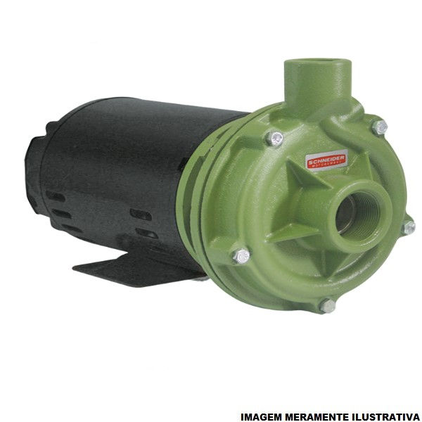 Motobomba Centrífuga Trifásica 3,00 CV BC-21R 220/380VCA Monoestágio Verde