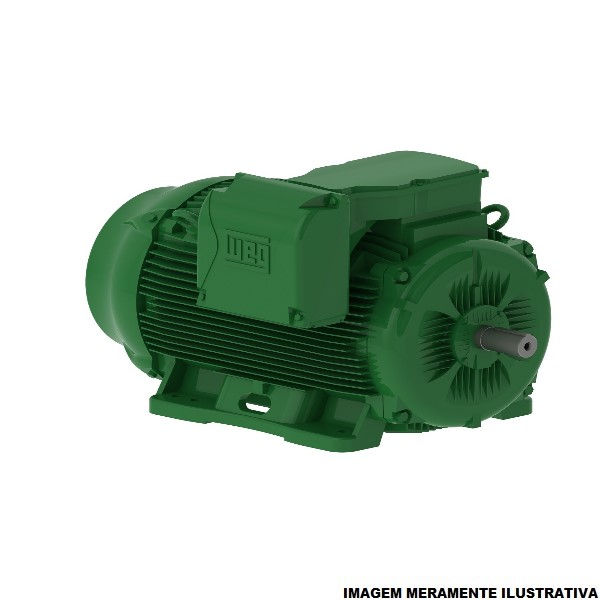 Motor Trifásico 100,00 CV/75,00 kW 4 Polos 1800 RPM 220-380VCA 60 Hz IPW55 Carcaça 250S/M/B3D IR3 Premium Verde
