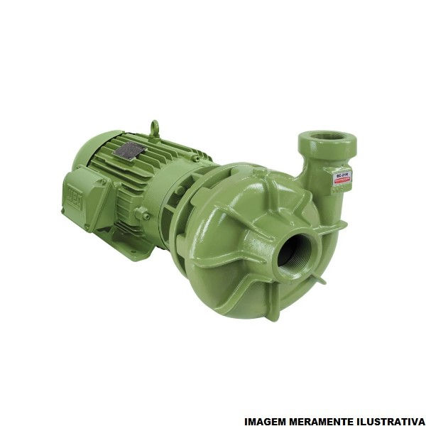 Motobomba Centrífuga Trifásica 7,50 CV BC-21R 220/380/440/760VCA Monoestágio Verde