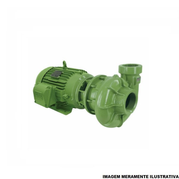 Motobomba Centrífuga Trifásica 5,00 CV BC-21R 220/380/440/760VCA Monoestágio Verde