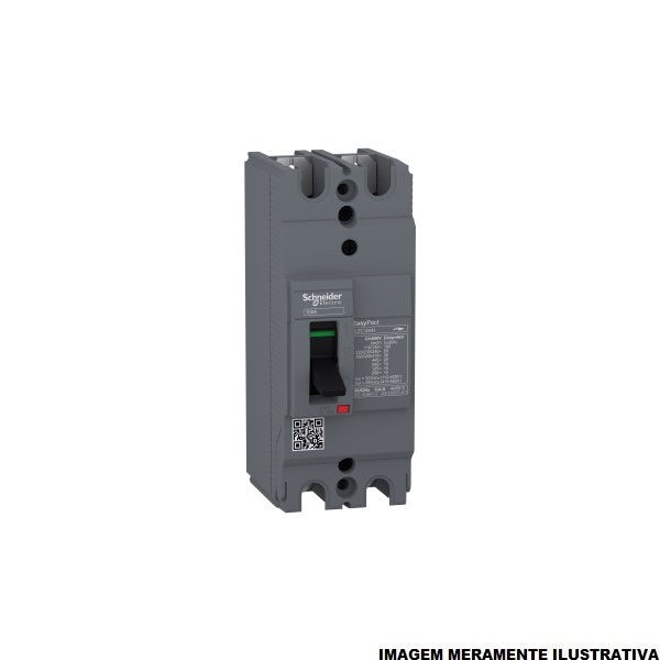 Disjuntor Termomagnético Fixo Bipolar EZC100H 30A 50 KA/30 KA 220/380VCA Caixa Moldada