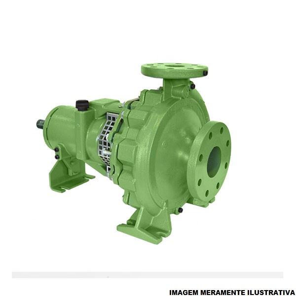 Motobomba Centrífuga Trifásica 7,50 CV FIT 220/380/440/760VCA Recalque Verde