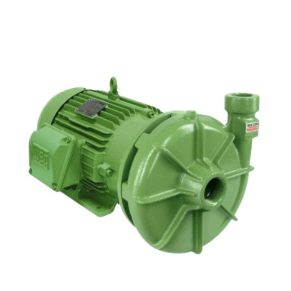 Motobomba Centrífuga Trifásica 5,00 CV BC-22R 220/760VCA Verde
