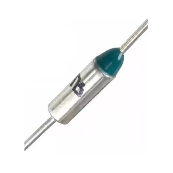 Fusível Térmico 10A 250VCA 200G