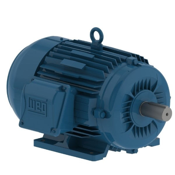 Motor Trifásico 3,00 CV/2,20 kW 6 Polos 1200 RPM 220-380VCA 60 Hz IP55 Carcaça 63/B3D IR3 Premium sem Flange Azul