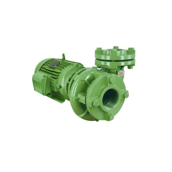 Motobomba Centrífuga Trifásica 7,50 CV BC-21R 220/380/440/760VCA Monoestágio Verde com Selo em Viton