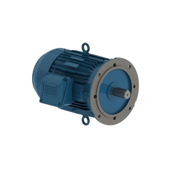 Motor Trifásico 0,75 CV/0,55 kW 4 Polos 1700 RPM 220-380VCA 60 Hz IP55 Carcaça 71/B5D IR3 Premium Azul