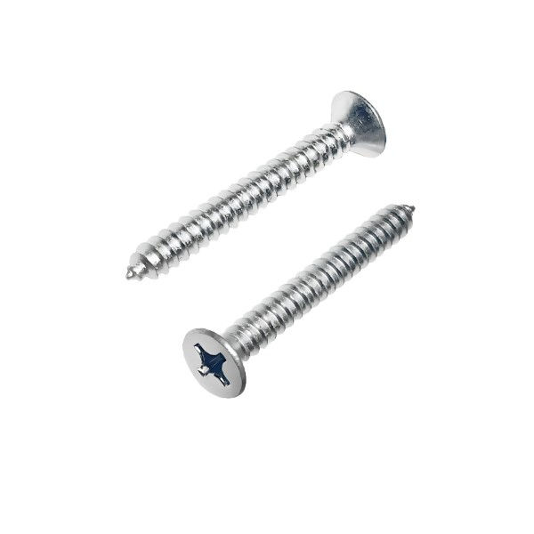 Parafuso Auto-Atarraxante Philips Cabeça Chata INOX 6,3x25 mm