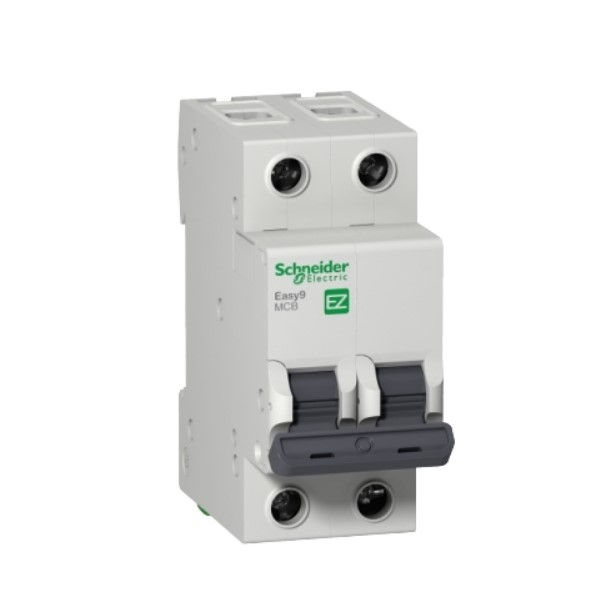 Disjuntor Termomagnético Fixo Bipolar EASY9 C 6A 5 KA/3 KA 220/380VCA DIN