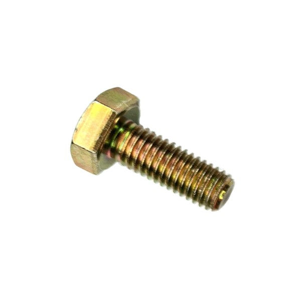 Parafuso Cabeça Sextavada Bicromatizado M10x25 mm