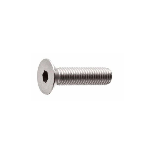 Parafuso Allen Cabeça Chata INOX M3x10 mm