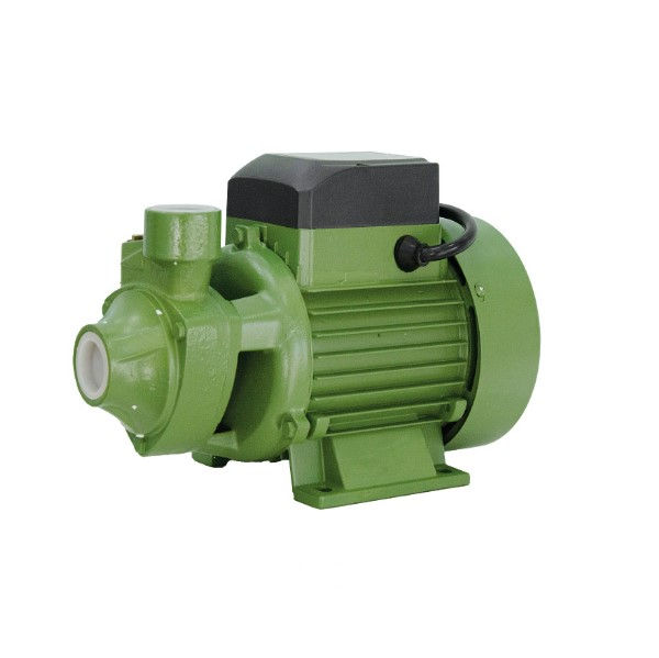 Motobomba Centrífuga Monofásica 0,5 CV PG-05 220VCA Submersível Verde
