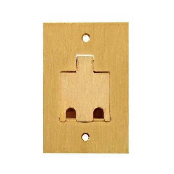 Placa Piso Unha Latão Escovado para 2 Tomadas RJ45/RJ11 4x2 Padrão