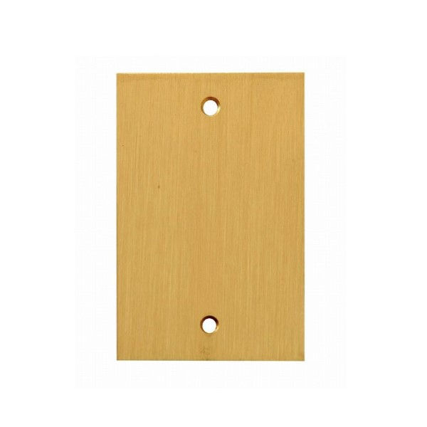 Placa Piso Unha Latão Escovado Cega 4x2 Padrão