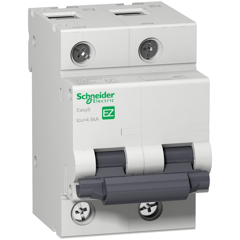 Disjuntor Termomagnético Fixo Bipolar EASY9 C 100A 5 KA/3 KA 220/380VCA DIN