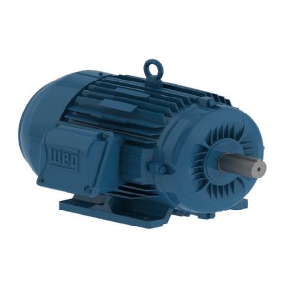 Motor Trifásico 1,00CV/0,75KW 4 Pólos 1800RPM 220-380VCA 60HZ IP55 Carcaça 80/B3D IR3 Premium Azul